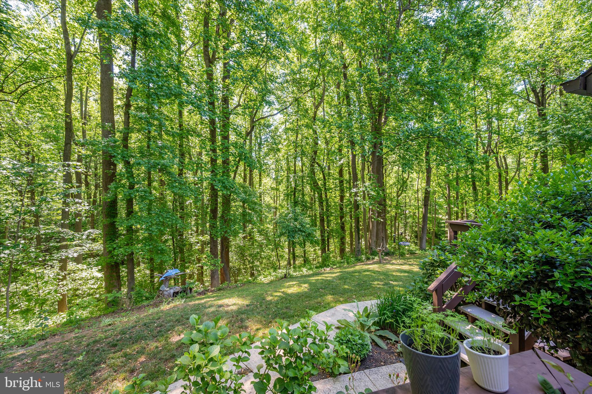 PINEWOOD ACRES - Residential