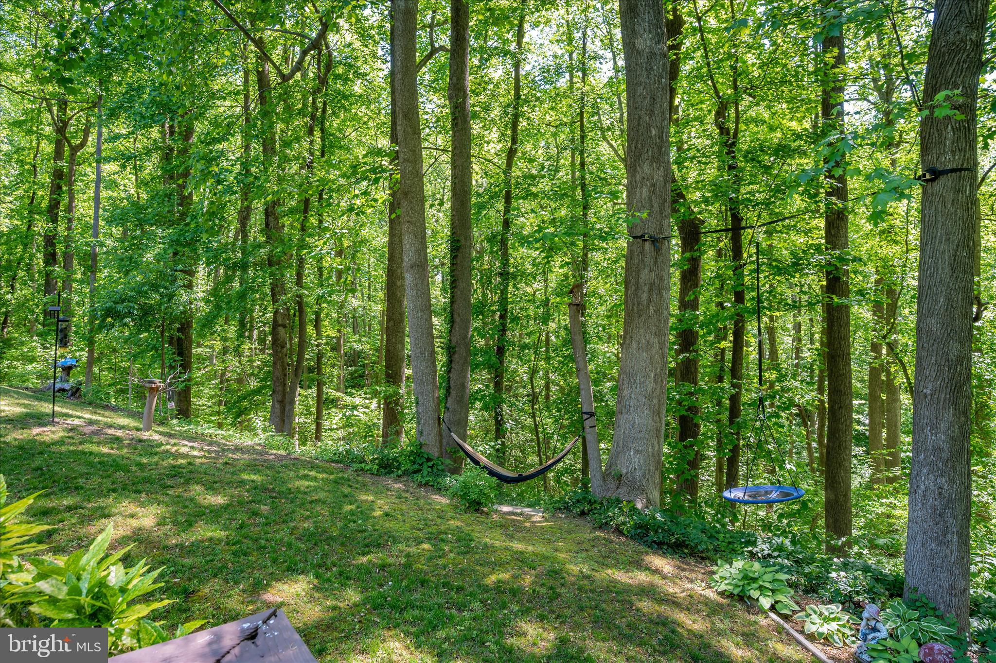 PINEWOOD ACRES - Residential