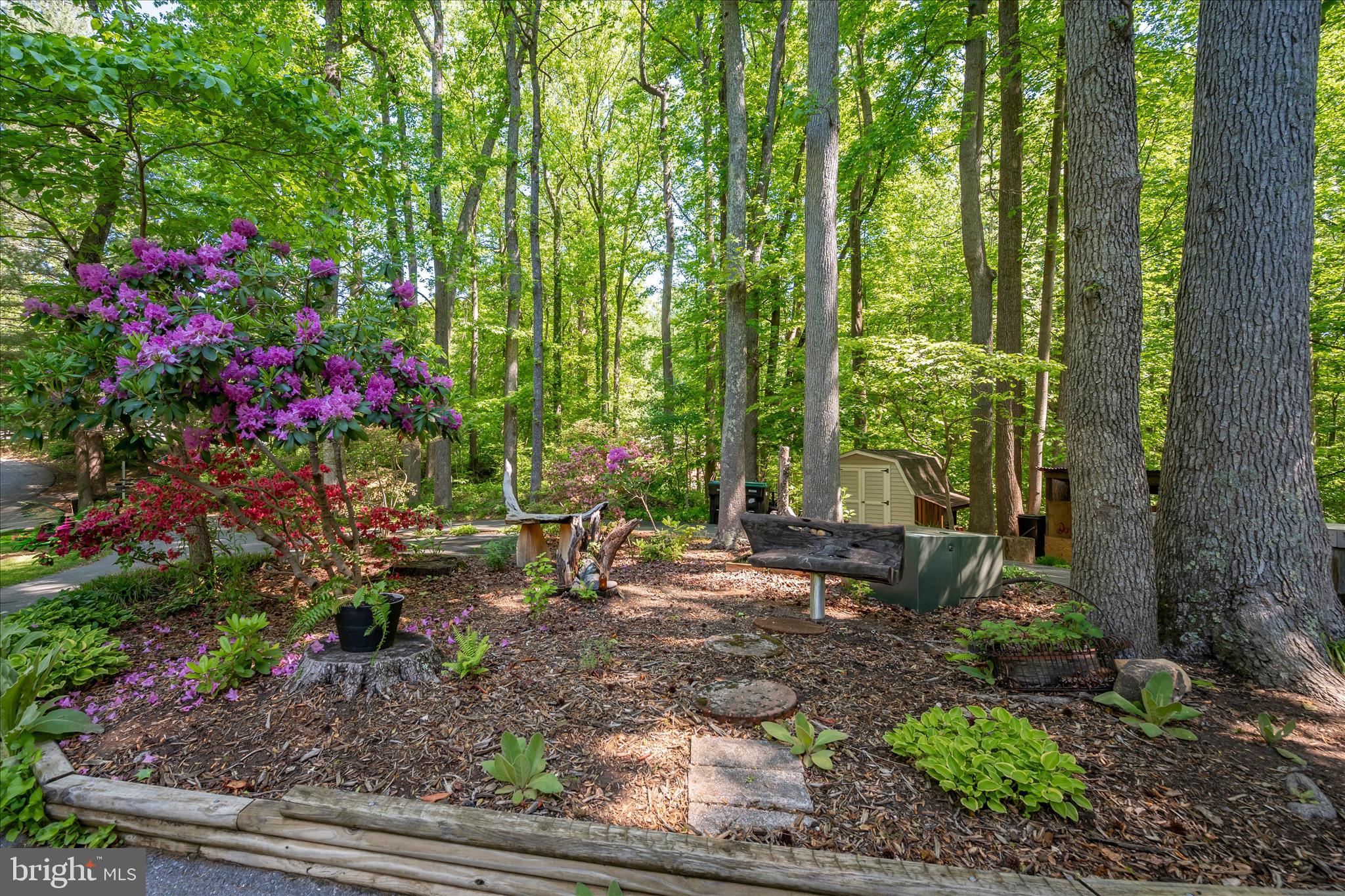PINEWOOD ACRES - Residential