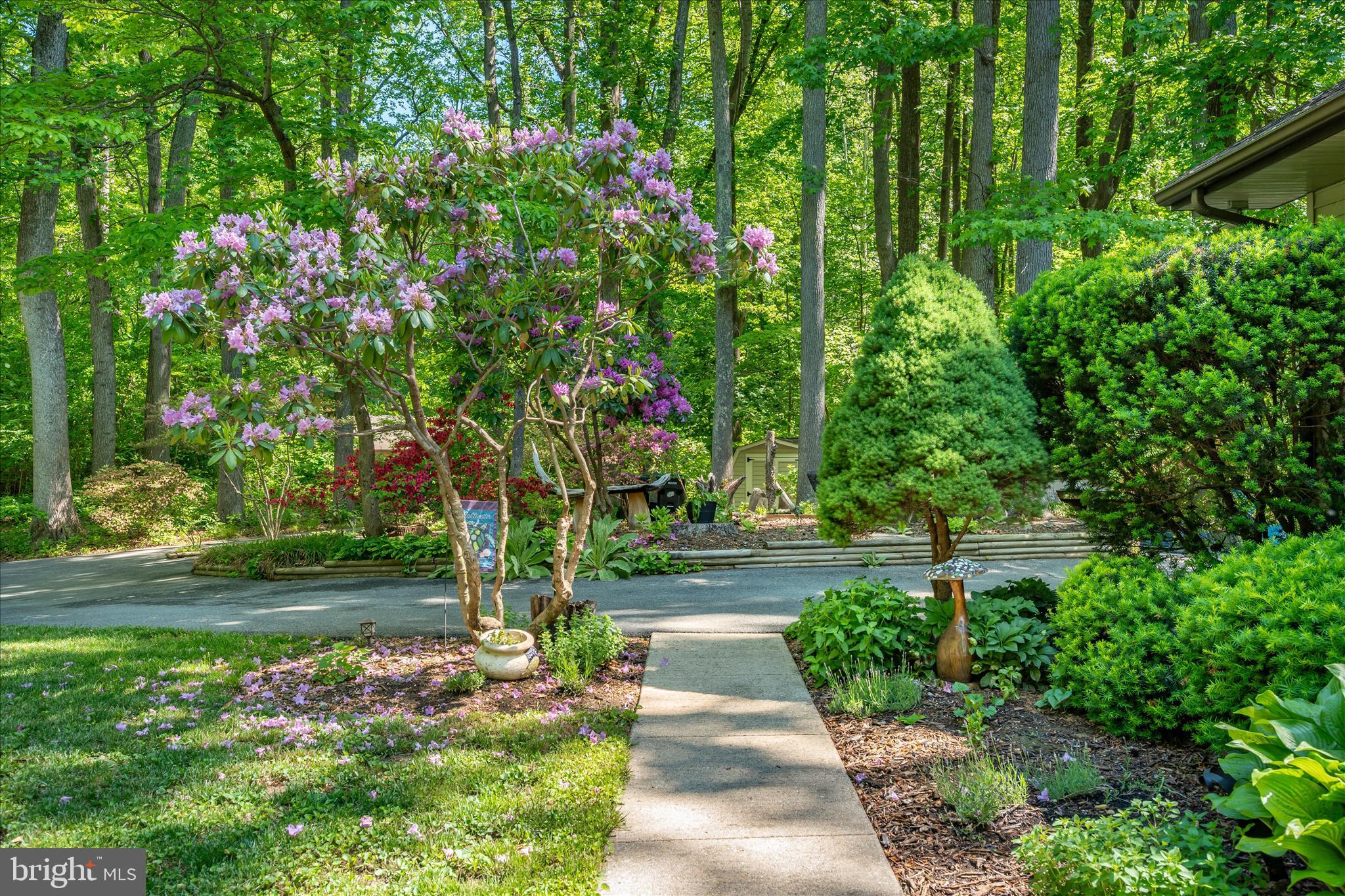 PINEWOOD ACRES - Residential
