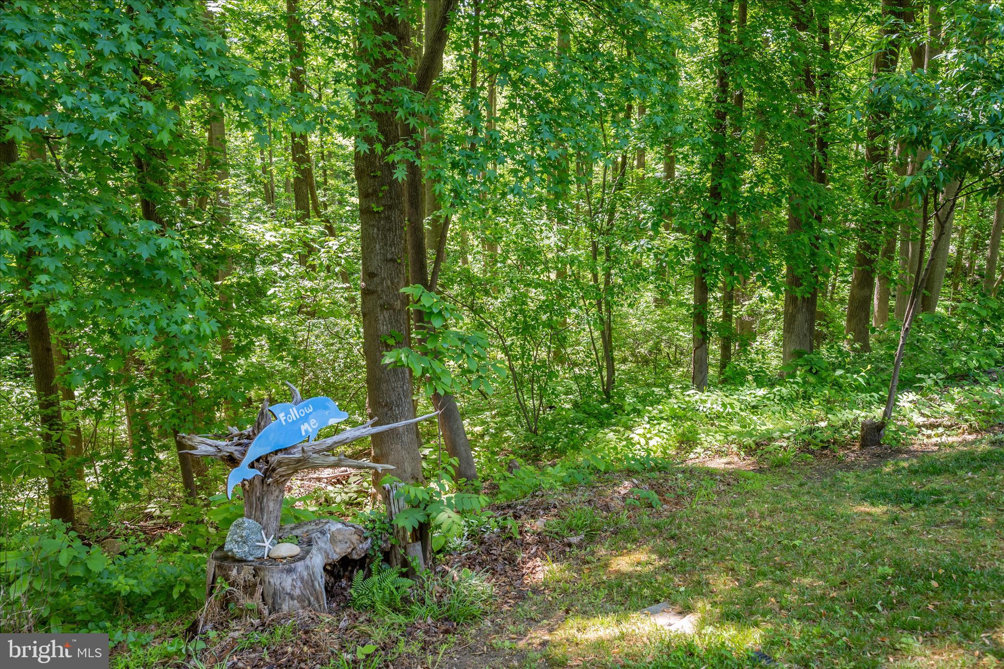 PINEWOOD ACRES - Residential