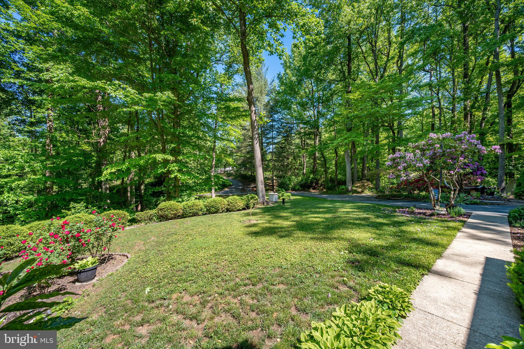 PINEWOOD ACRES - Residential
