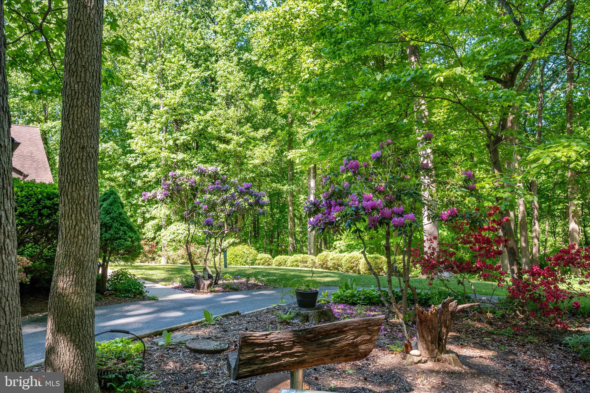 PINEWOOD ACRES - Residential