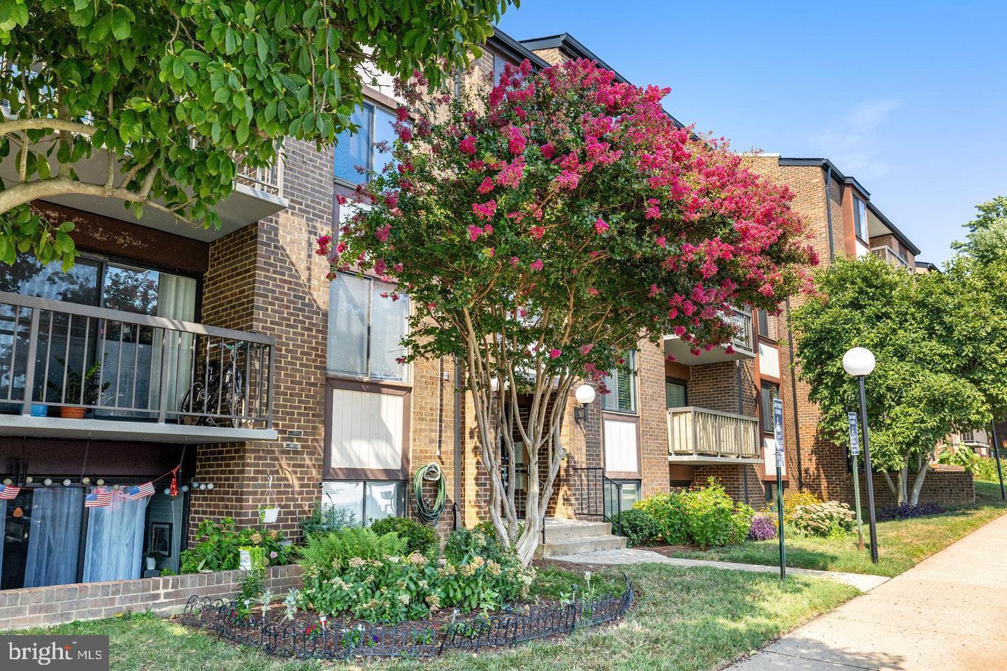 9720 KINGSBRIDGE DRIVE 201