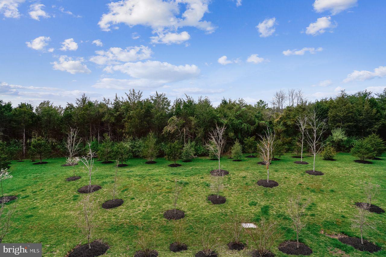 BRADLEY SQUARE - Residential