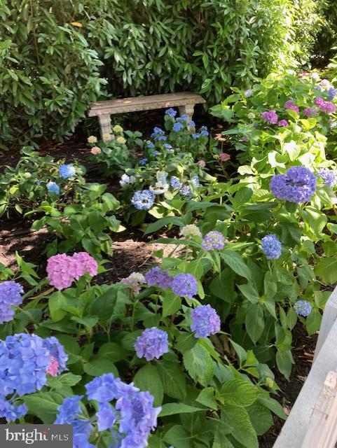 EASTPORT - Residential