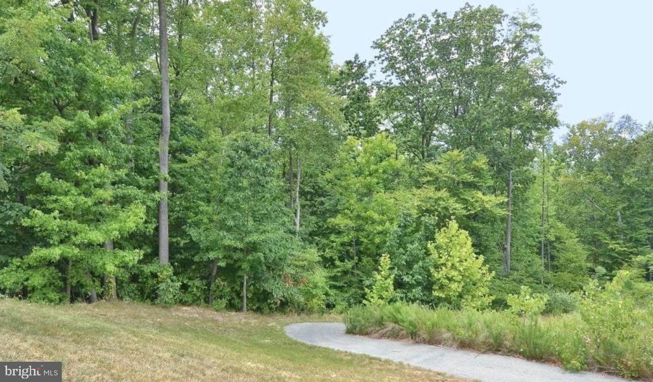TOWN CENTER AT CAMP SPRINGS - Residential