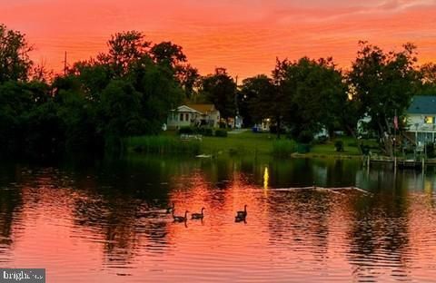 13 HUNTERS POINTE MILLSBORO DE 19966