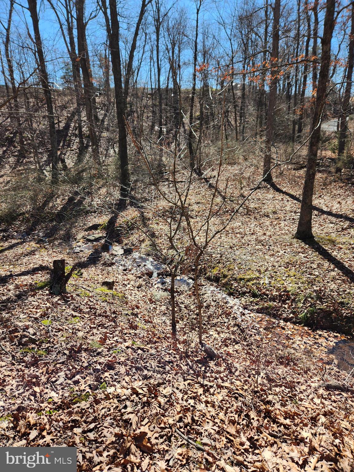 BERKELEY COUNTY - Residential