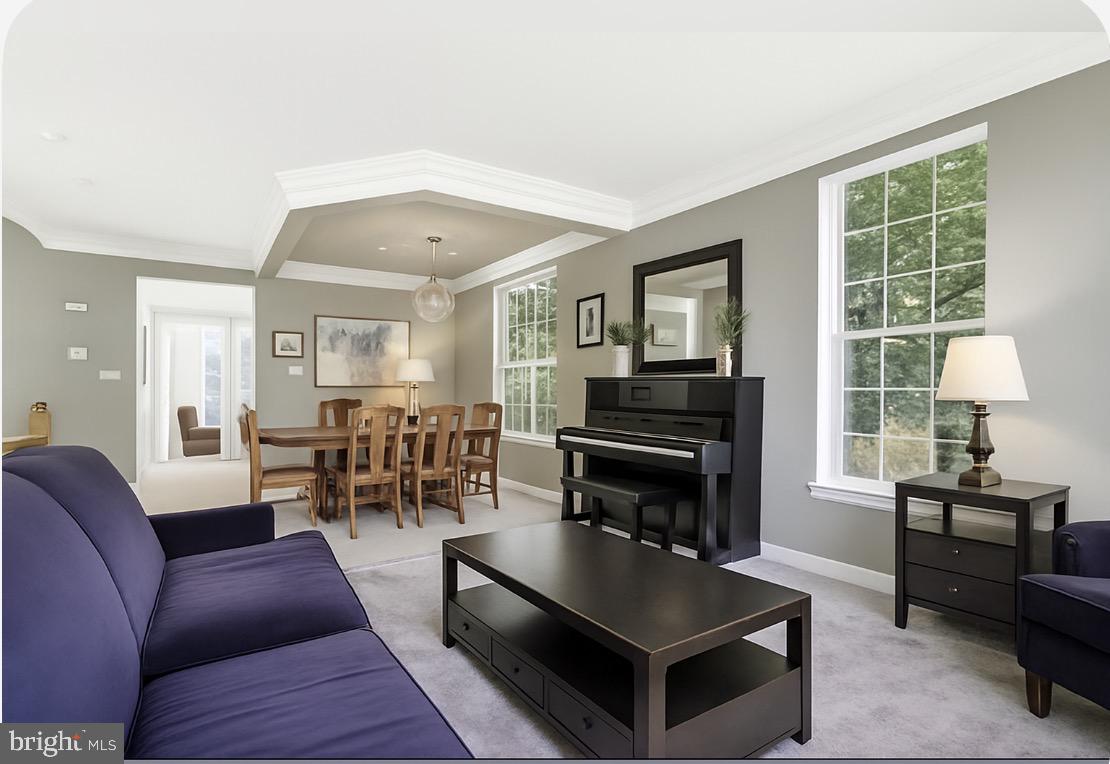 222 BIRCHWOOD DRIVE