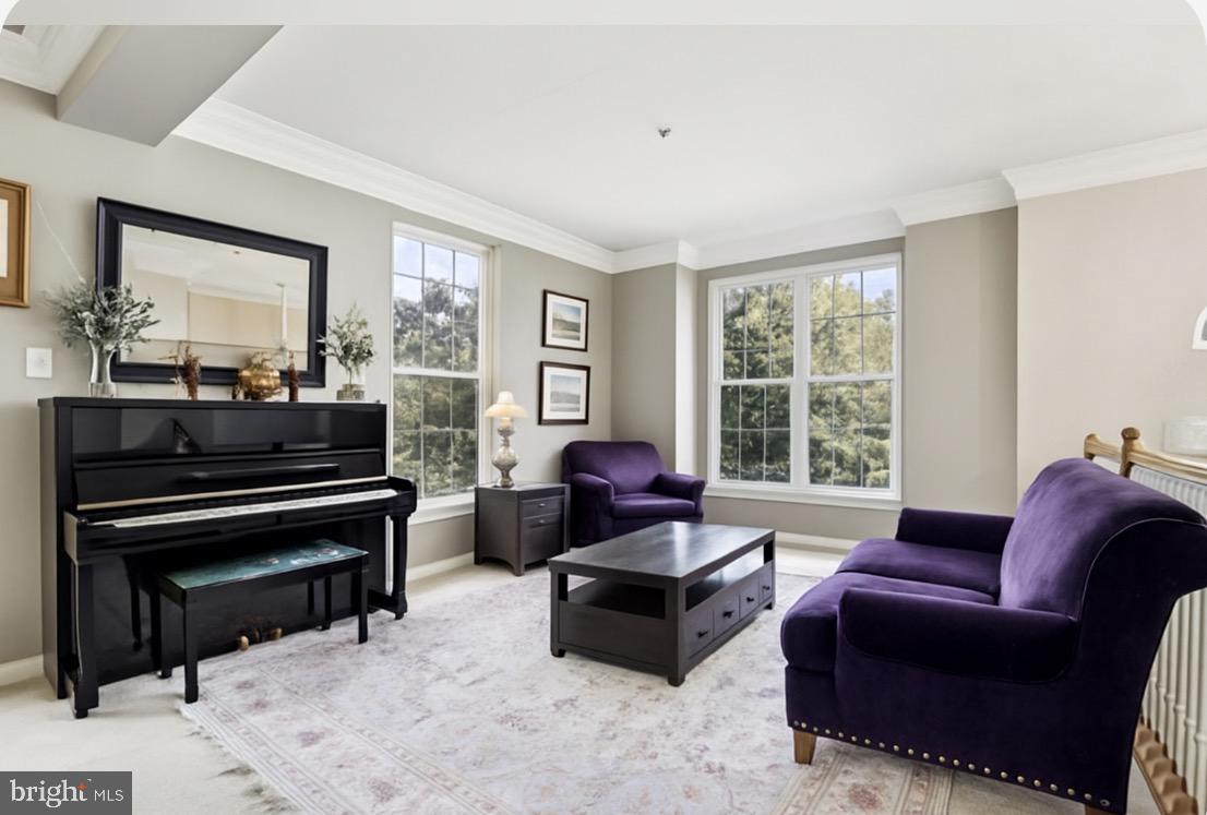 222 BIRCHWOOD DRIVE