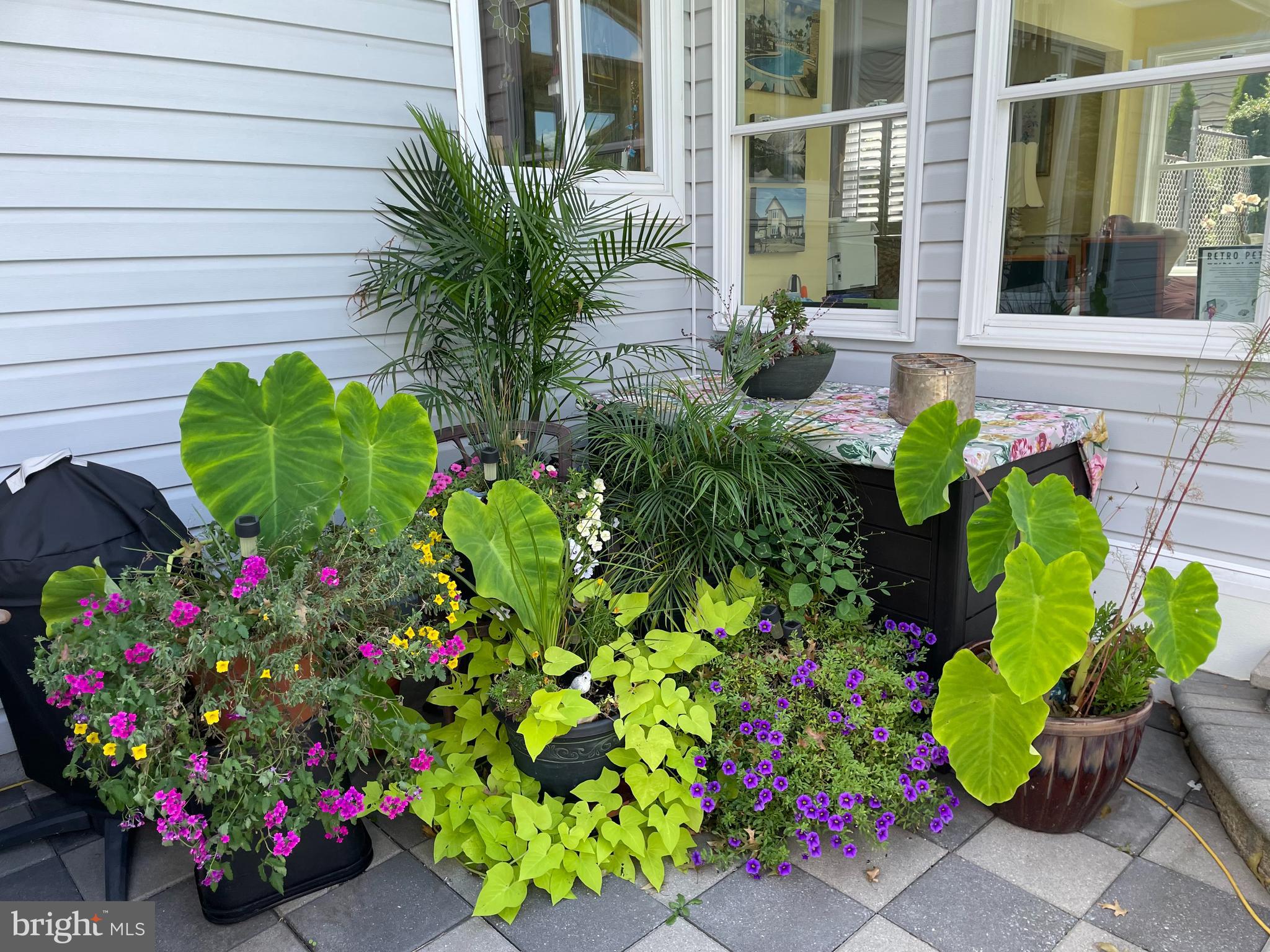 EDGEWOOD PARK - Residential