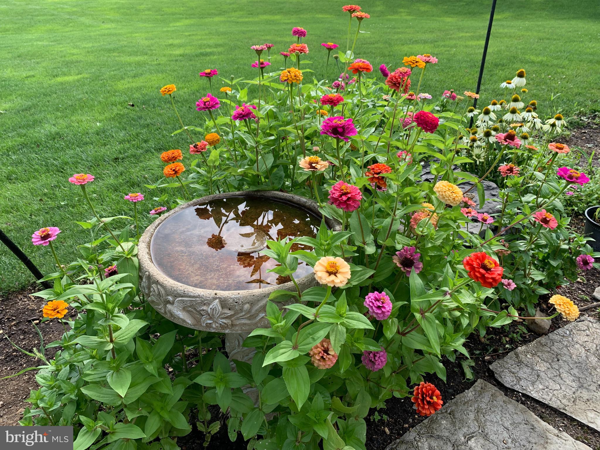 STEARNS CROSSING - Residential