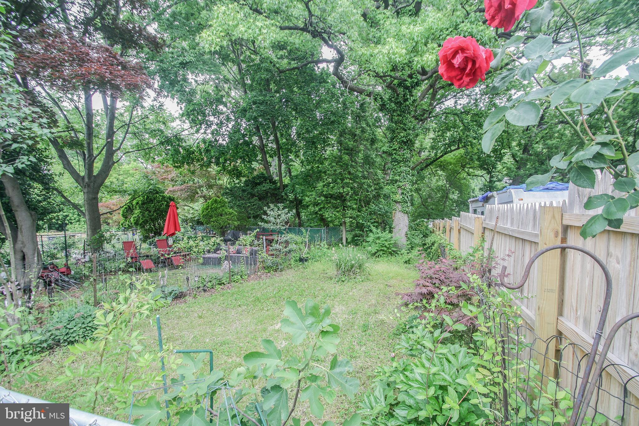 WALNUT HILL - Residential Lease