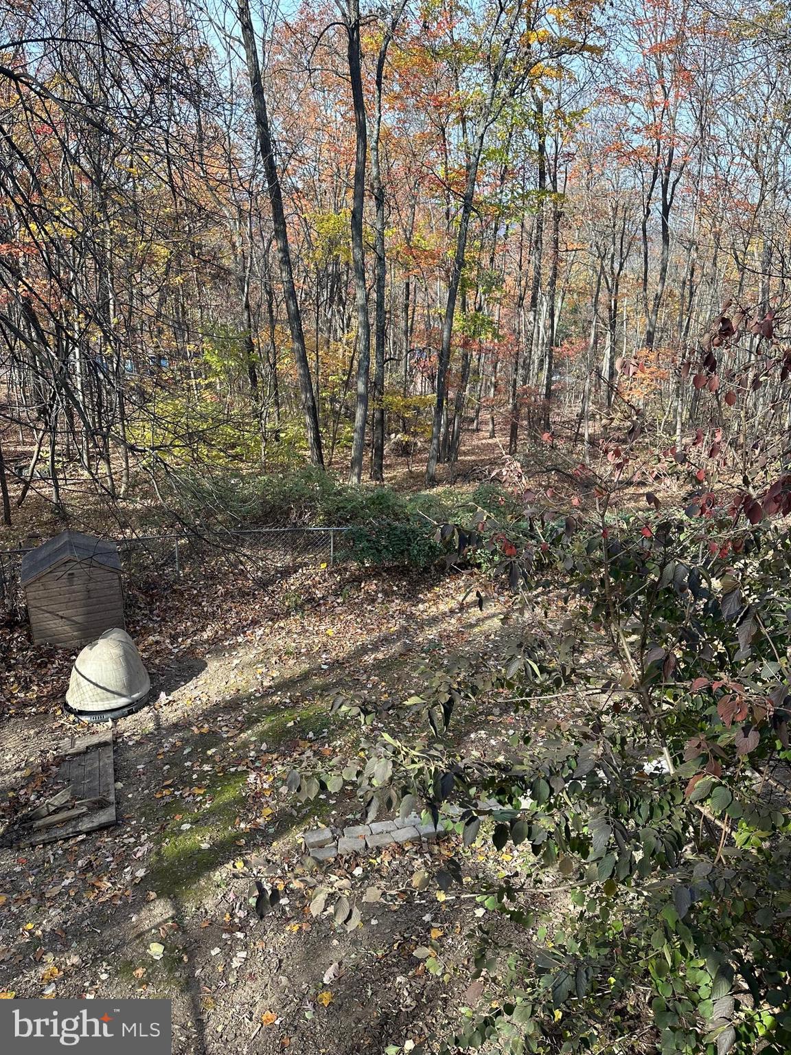 GLENWOOD FOREST - Residential