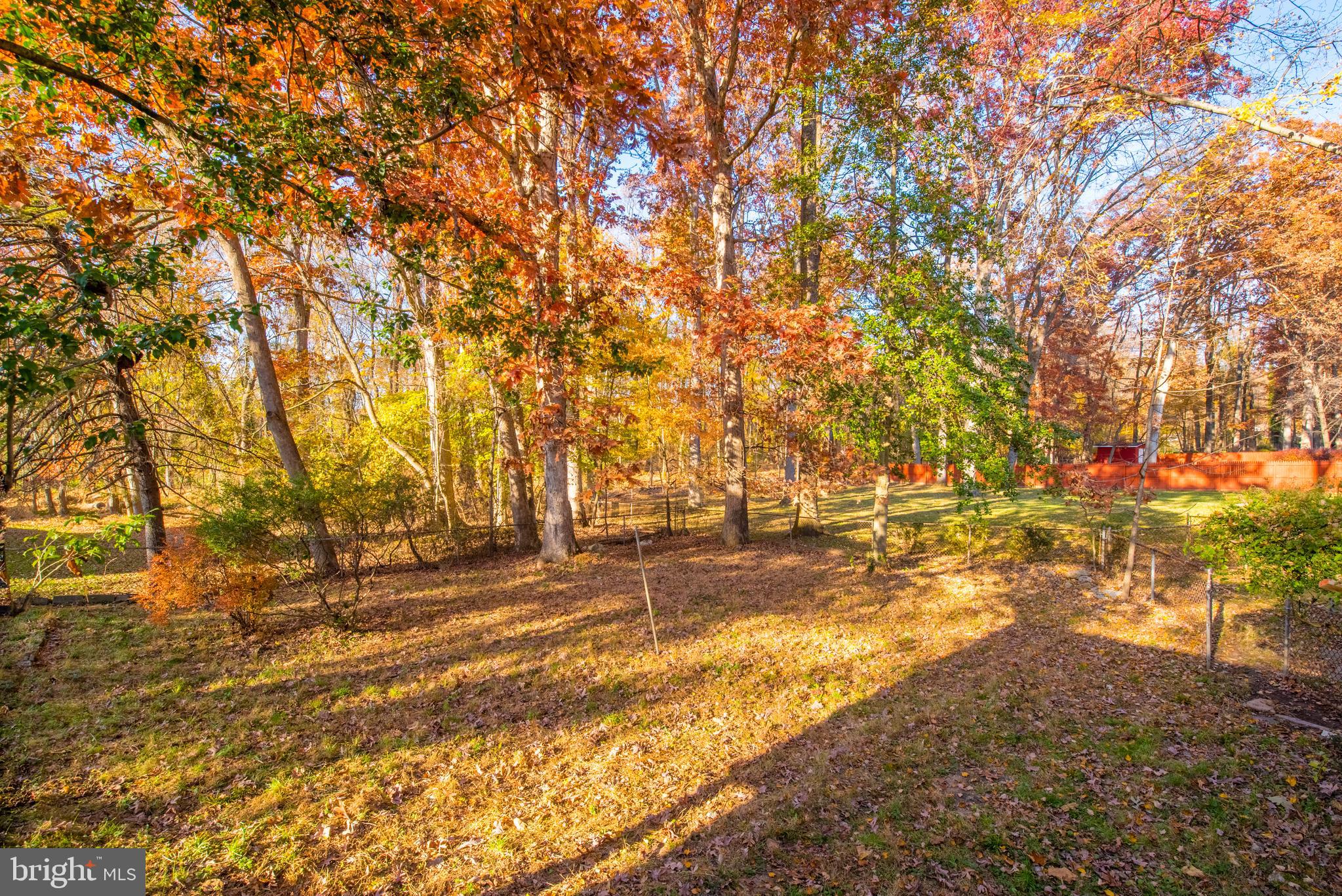 GEORGIAN FOREST - Residential