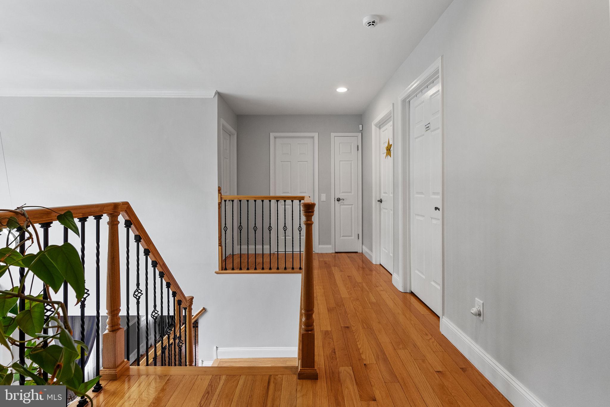 HOLLAND MEADOWS - Residential