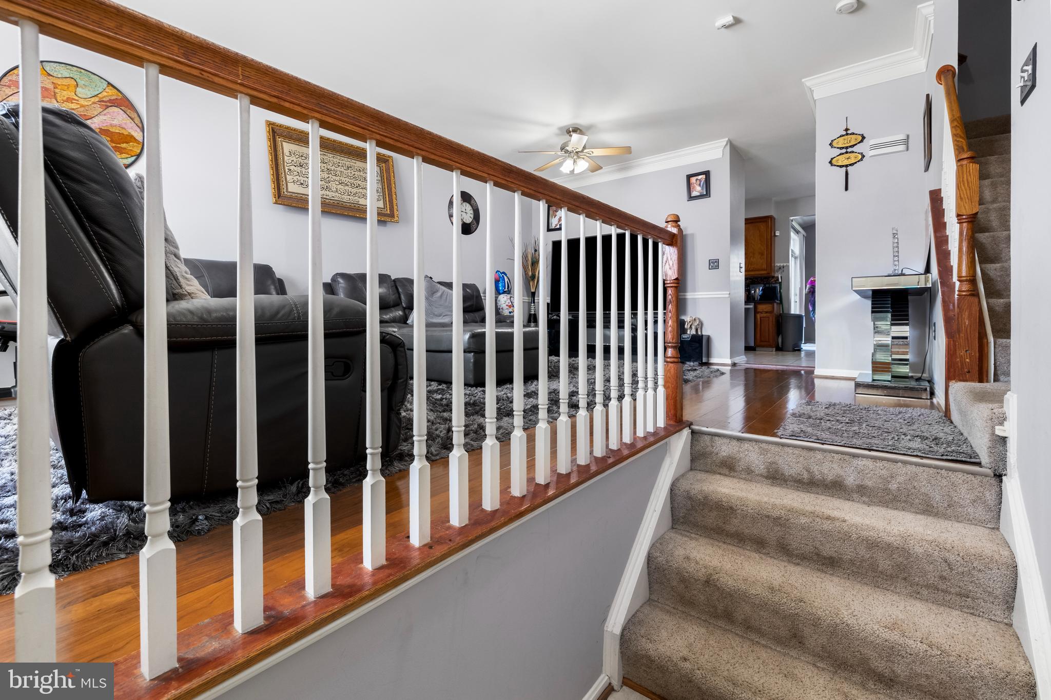 15293 BRAZIL CIRCLE