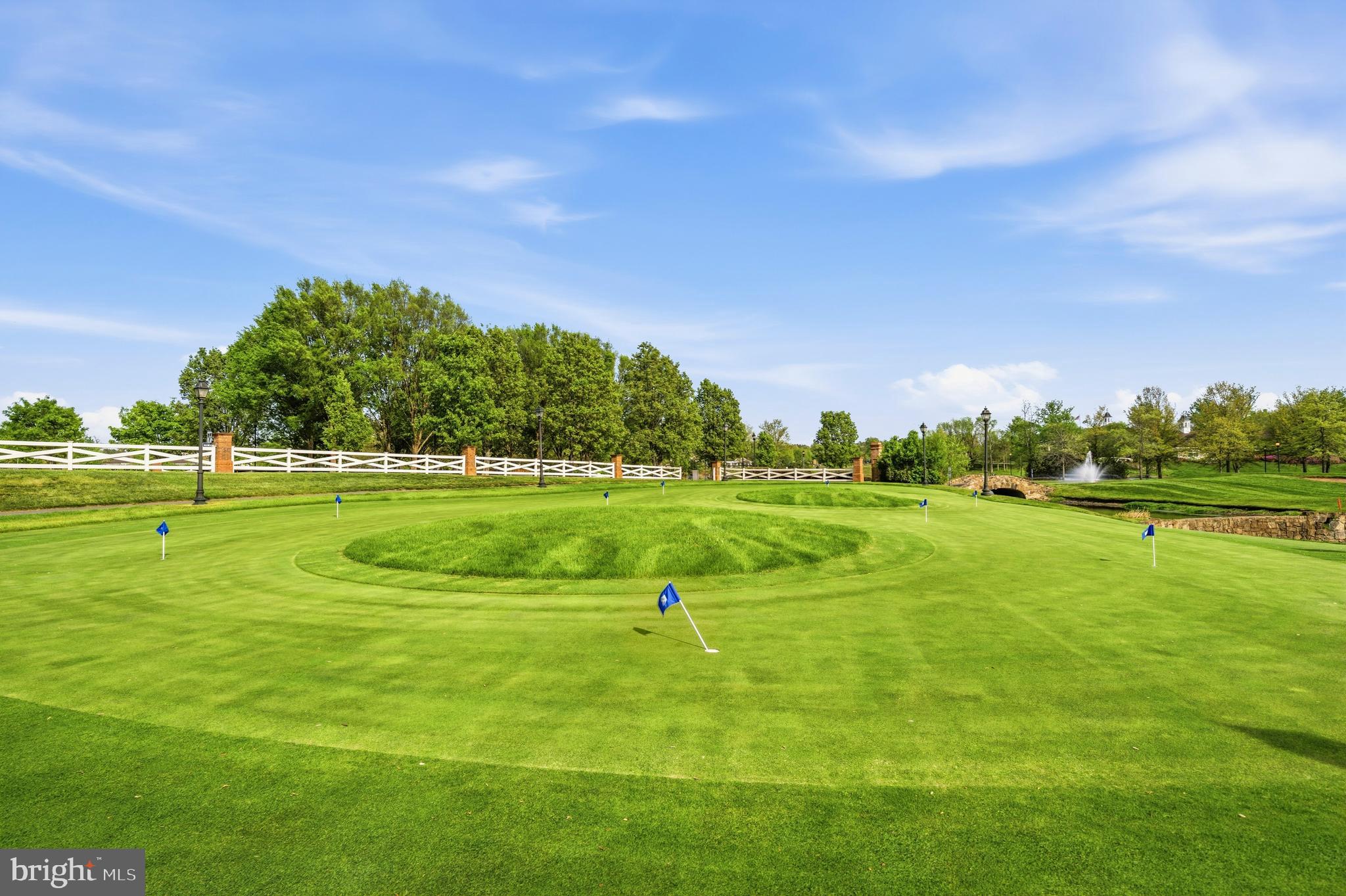 REGENCY AT DOMINION VALLEY - Residential