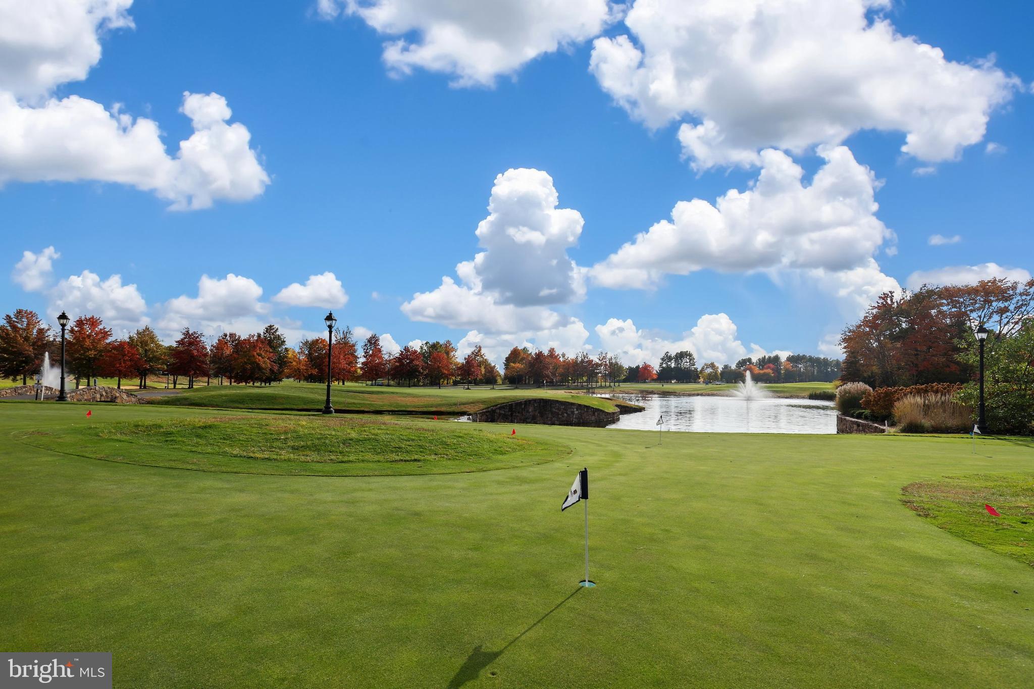 REGENCY AT DOMINION VALLEY - Residential