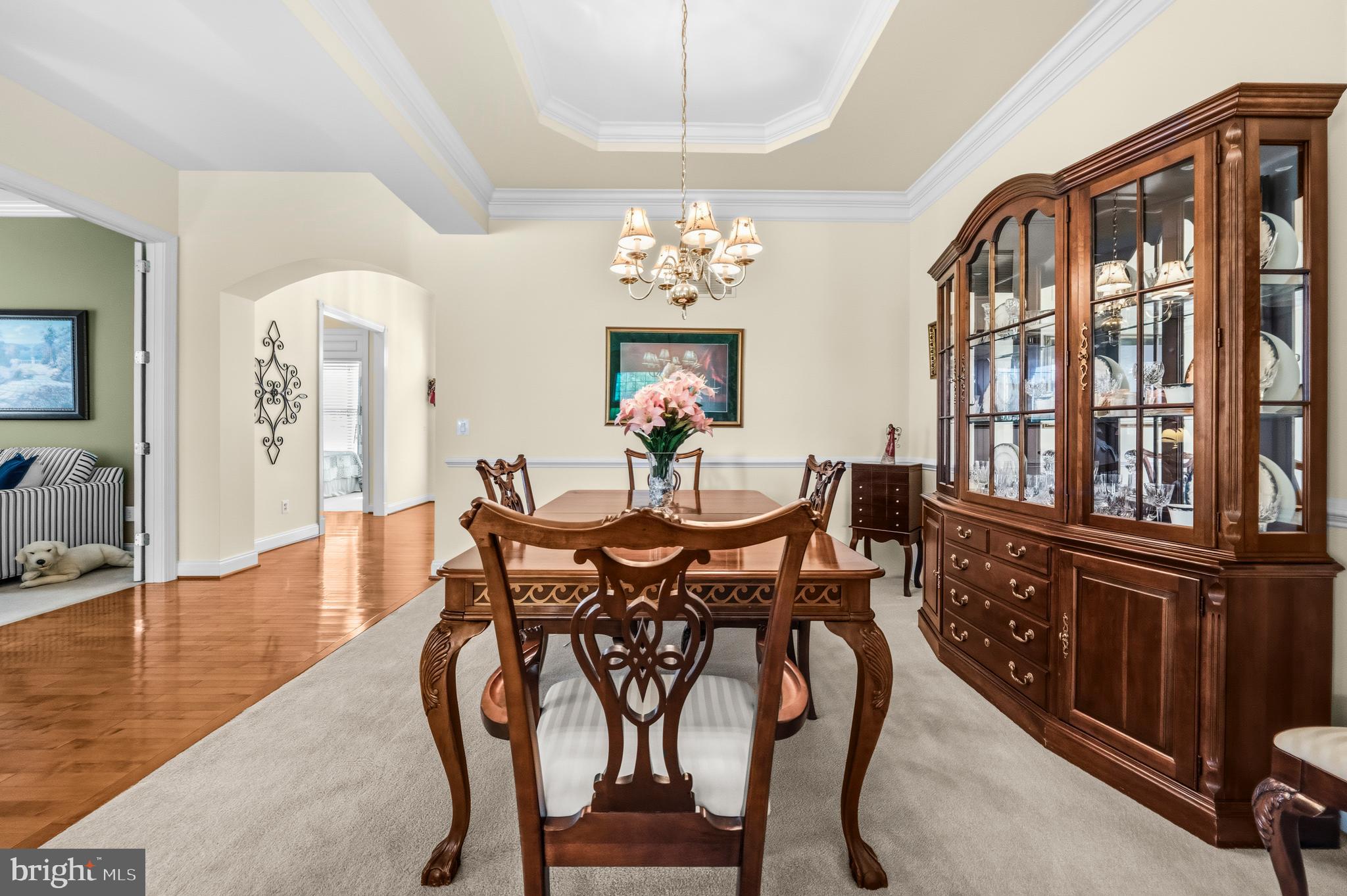 REGENCY AT DOMINION VALLEY - Residential