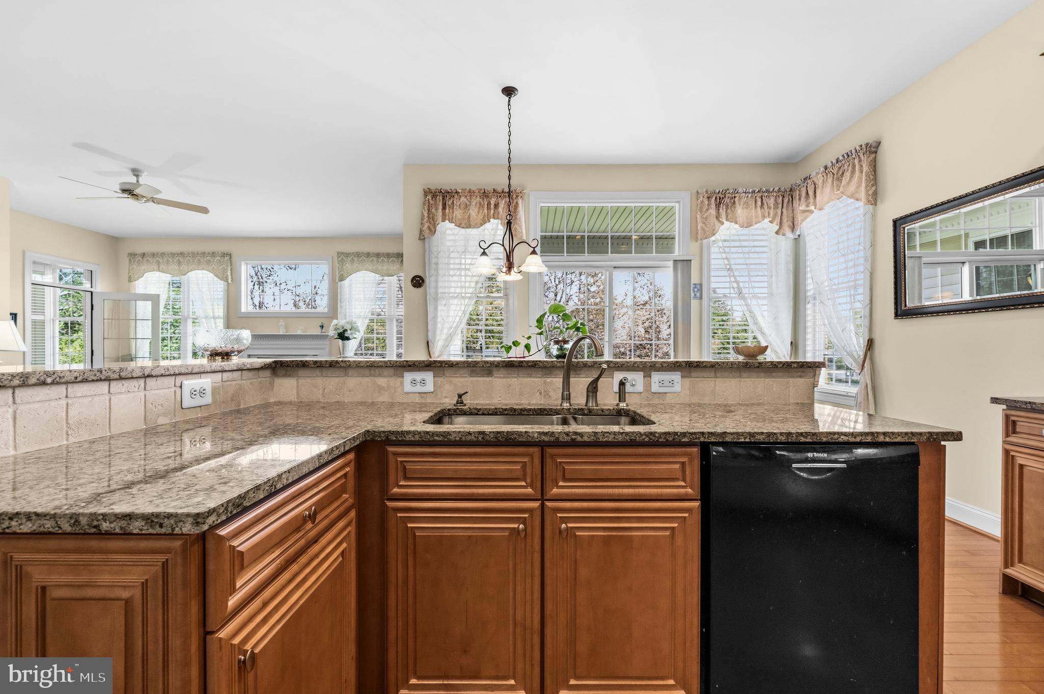 REGENCY AT DOMINION VALLEY - Residential