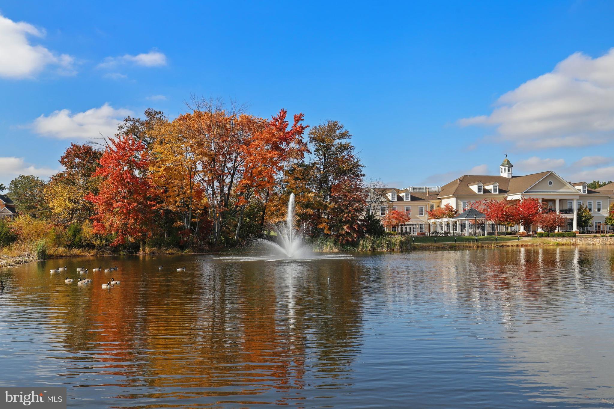 REGENCY AT DOMINION VALLEY - Residential