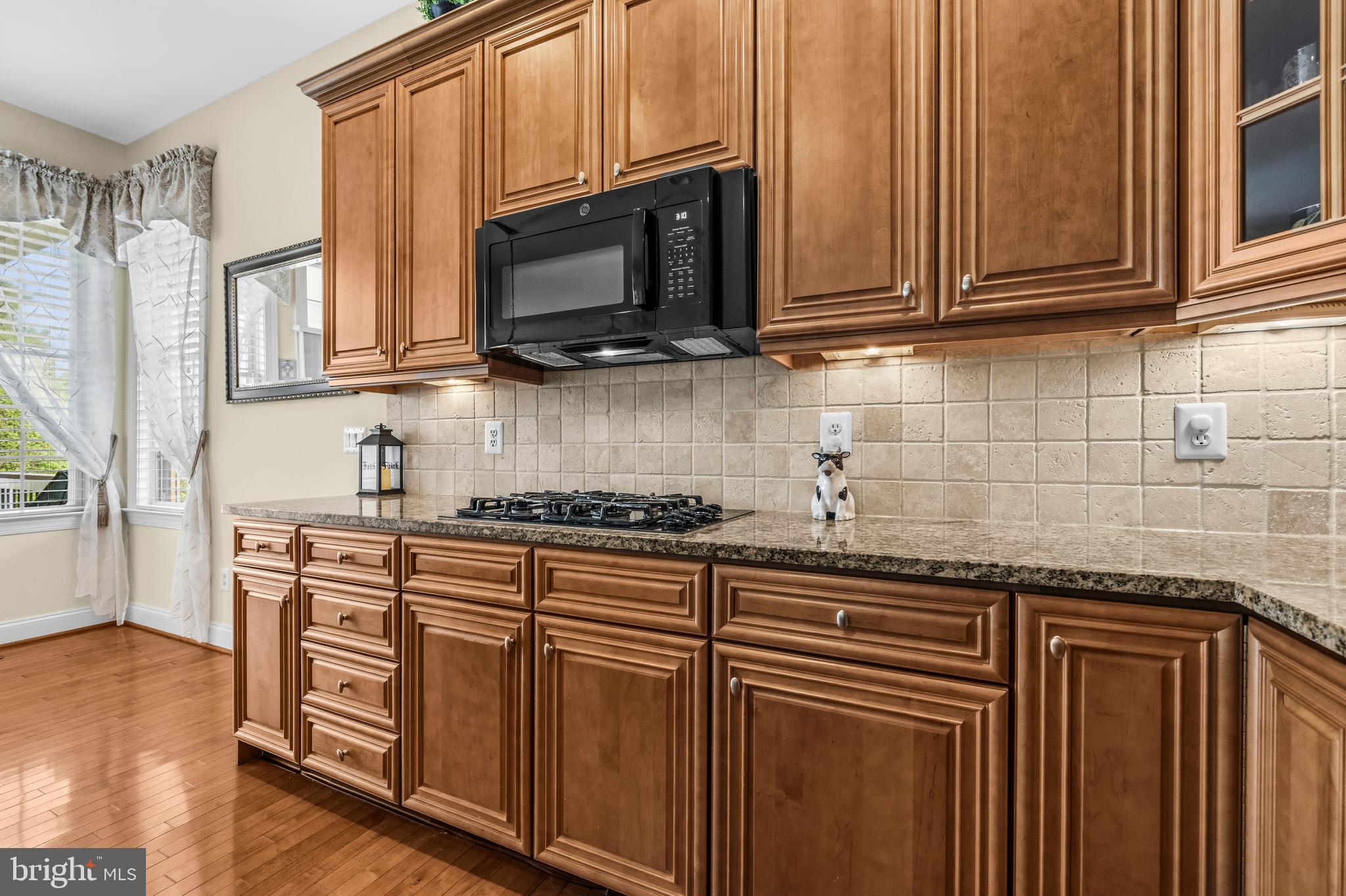 REGENCY AT DOMINION VALLEY - Residential