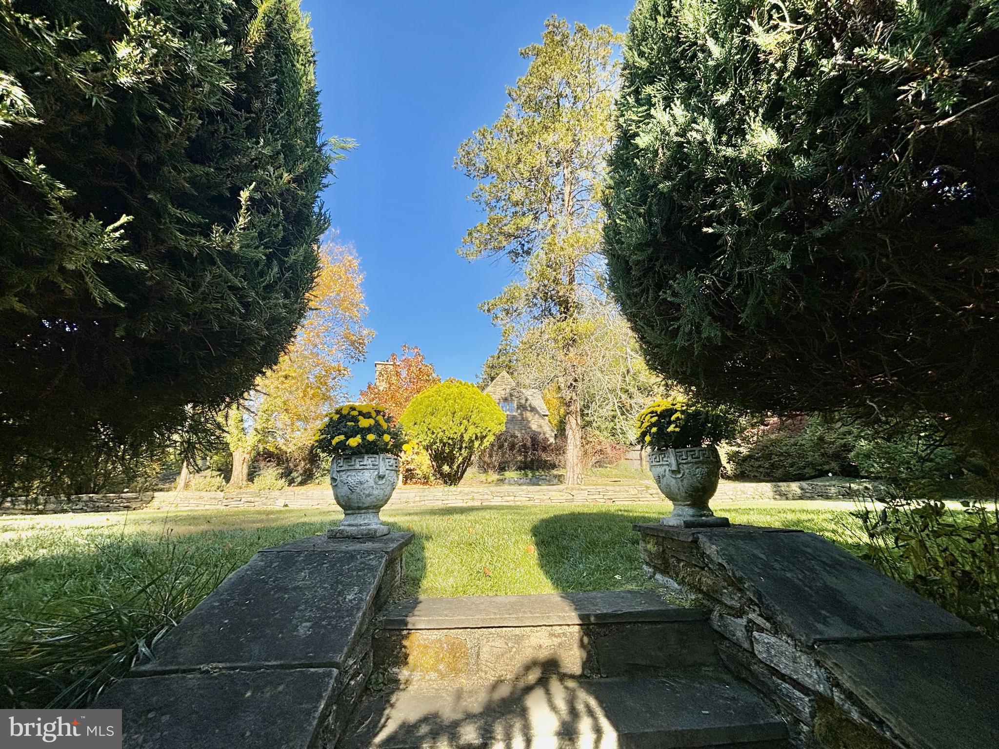 CHESTNUT HILL - Residential