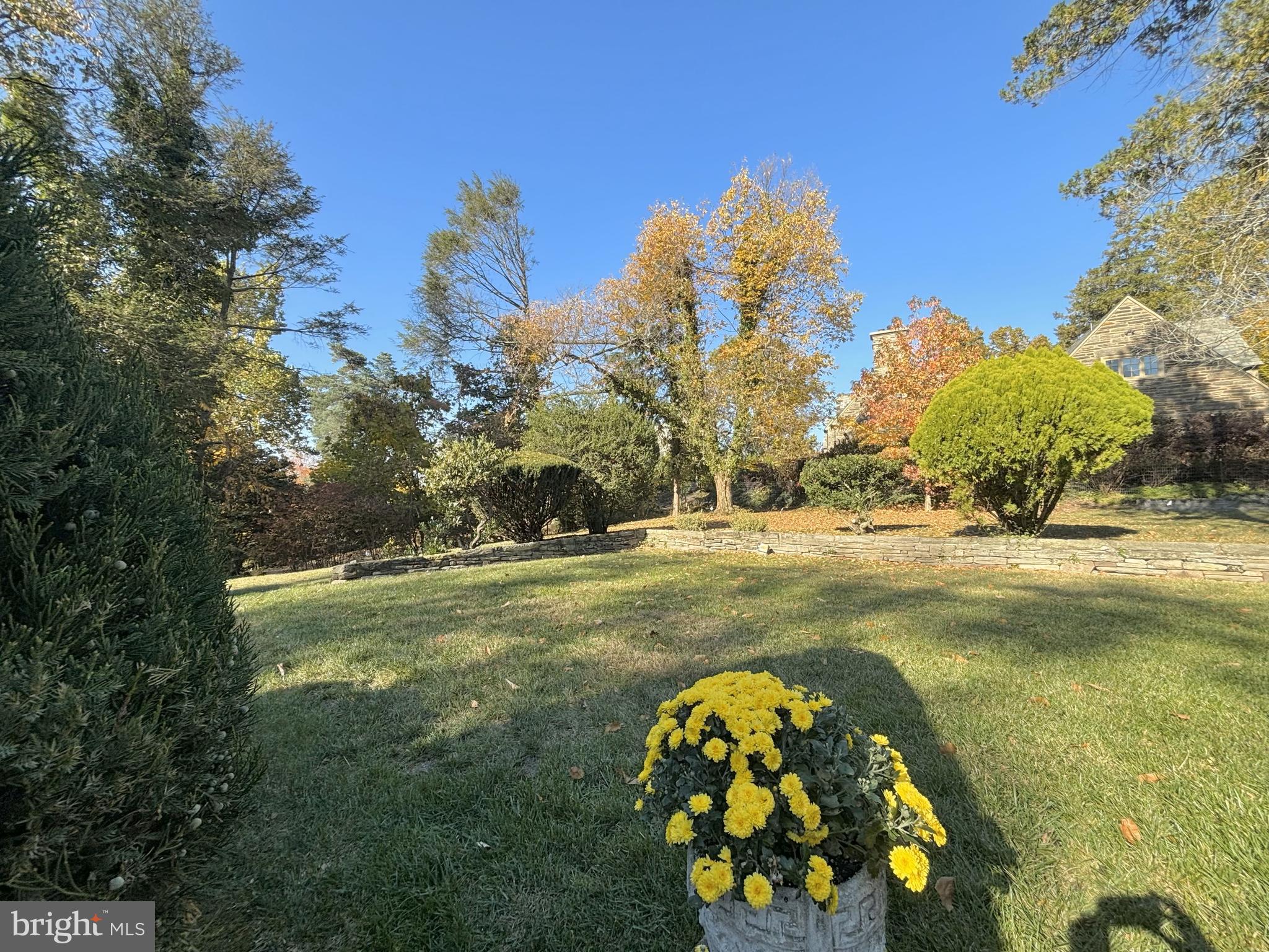 CHESTNUT HILL - Residential
