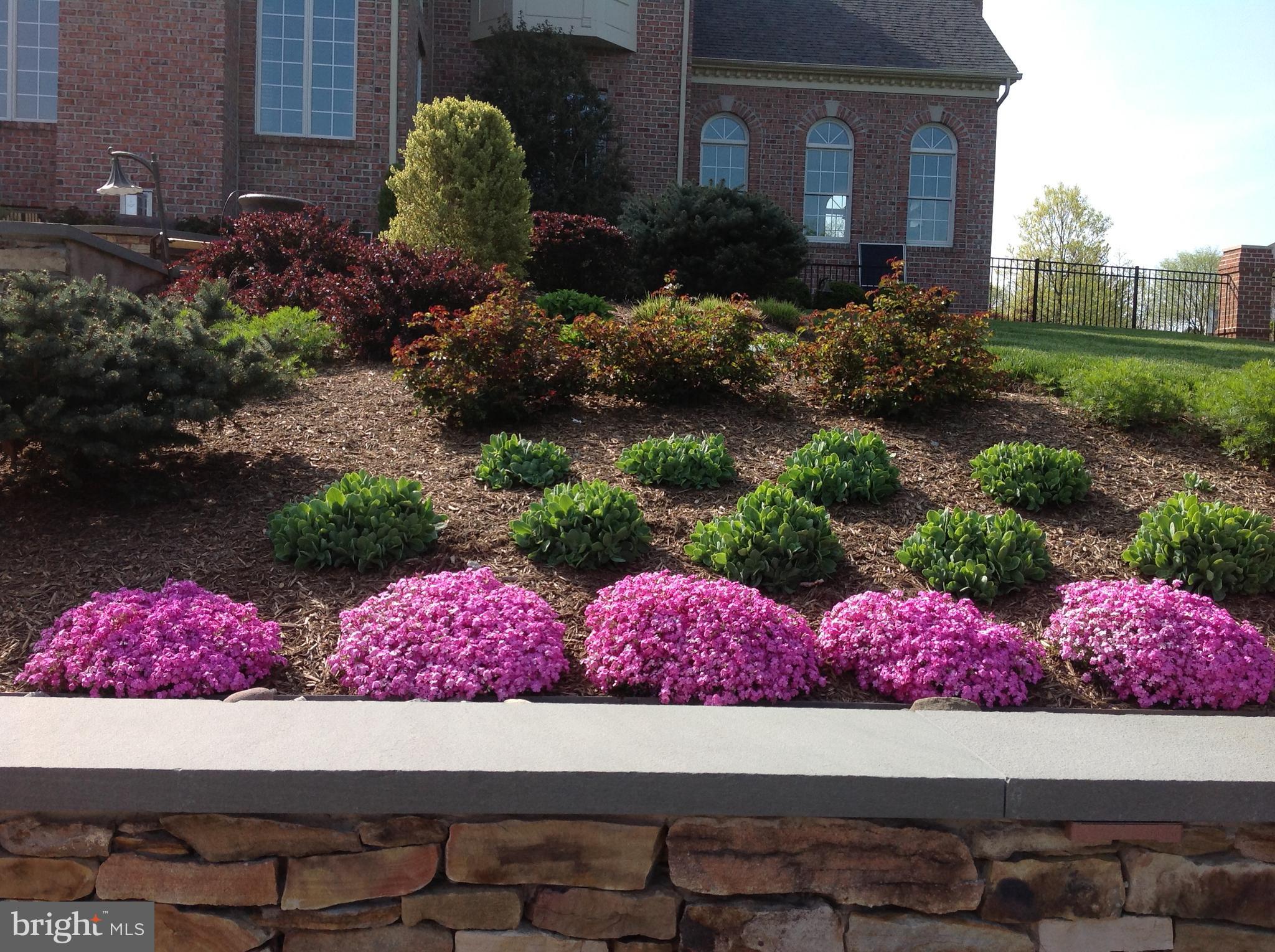 BRAESIDE - Residential