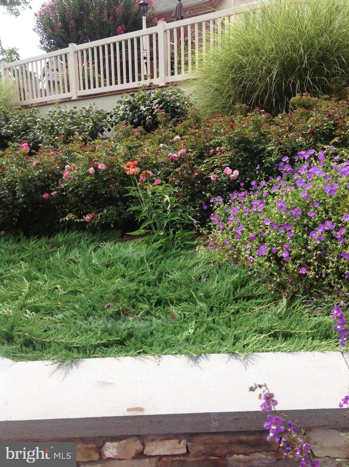 BRAESIDE - Residential