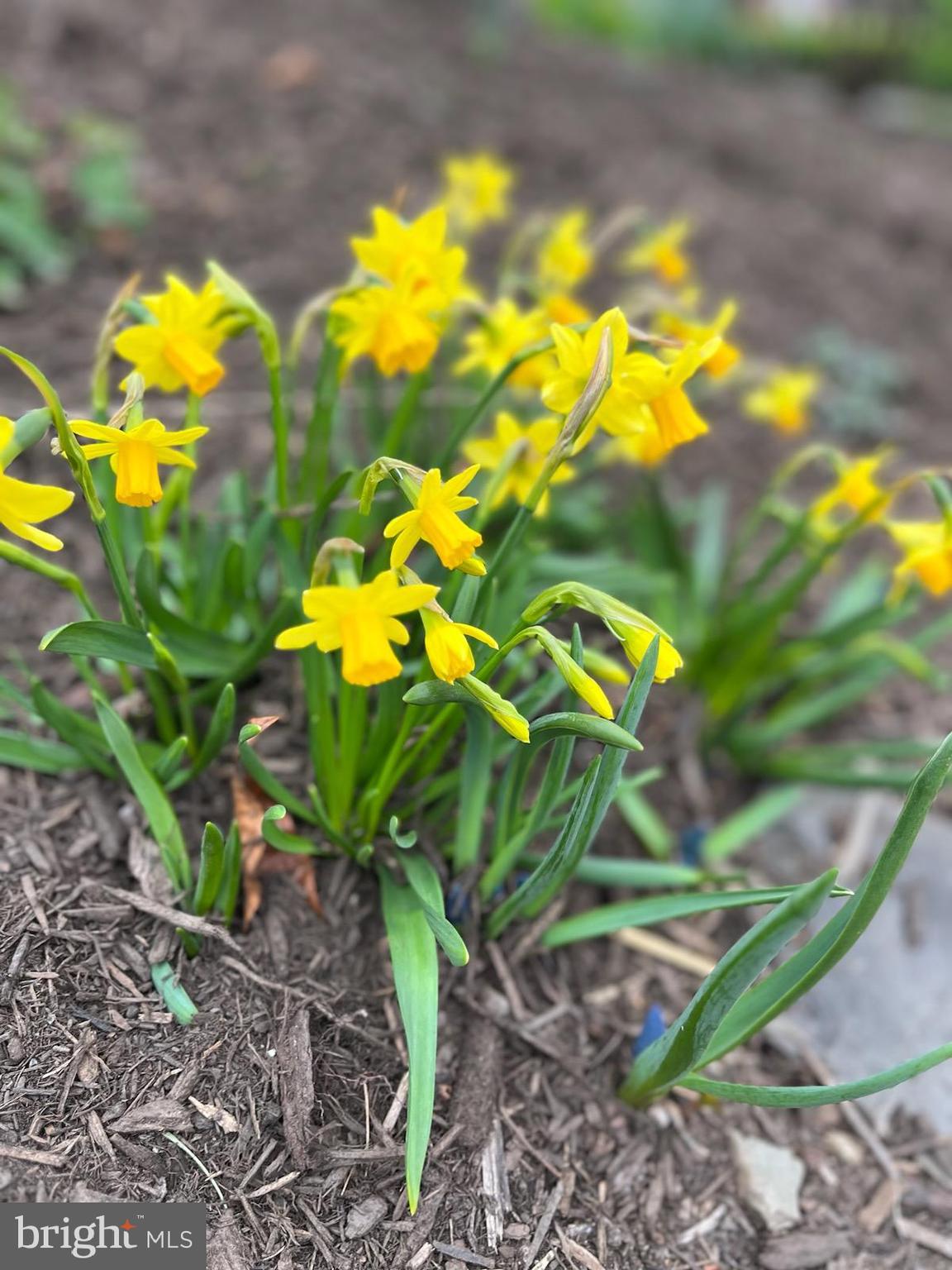 BEVERLEY HILLS - Residential