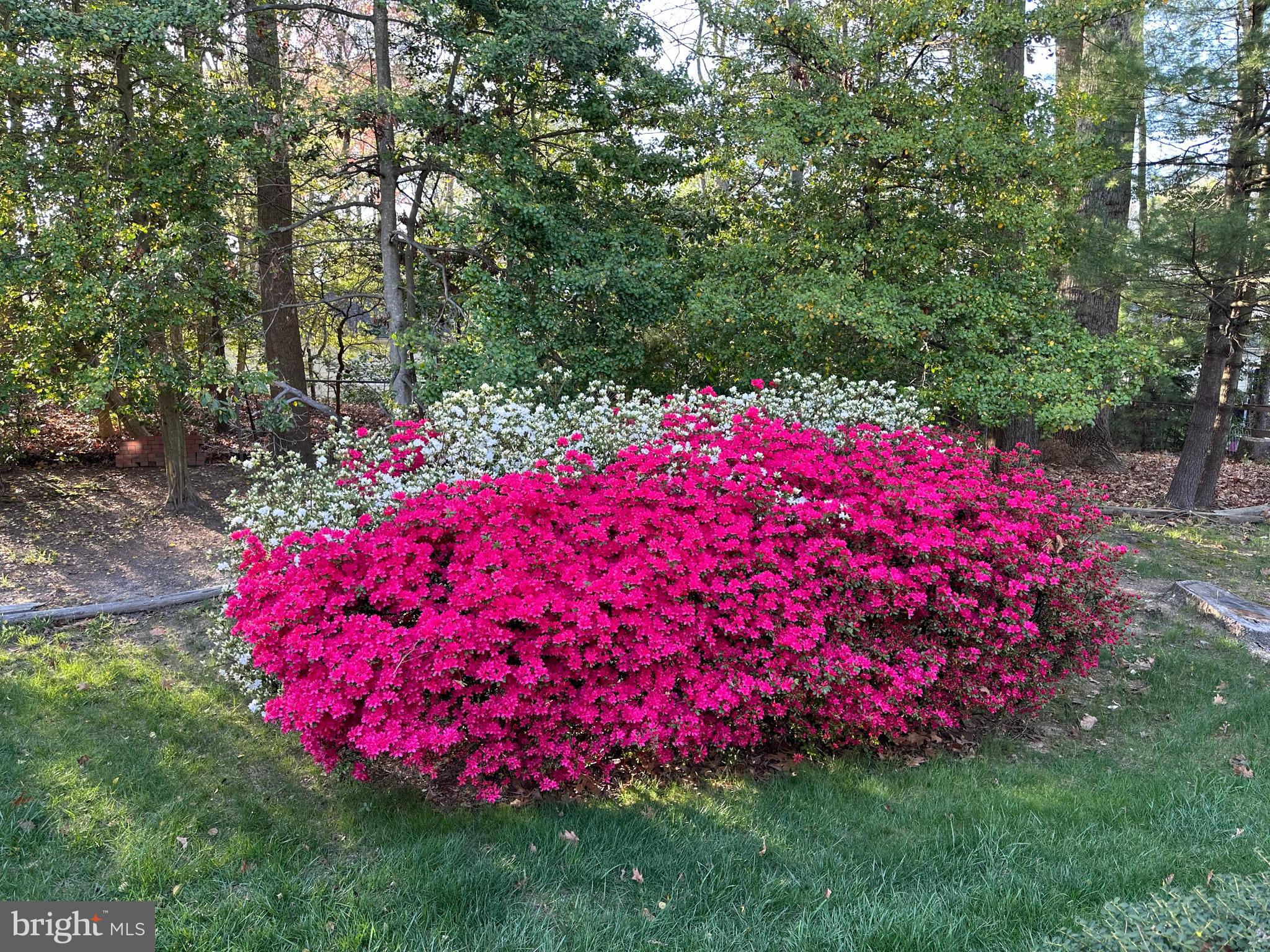 MIDDLERIDGE - Residential