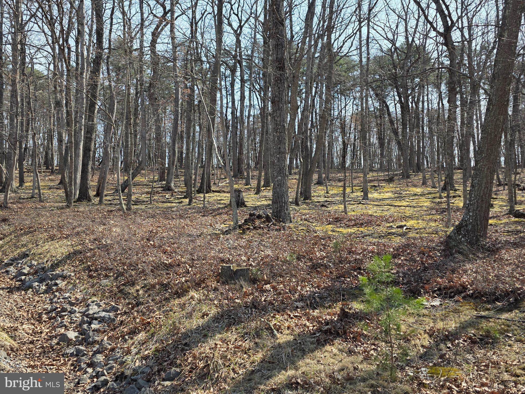 HOLLY BUSH ESTATES - Land