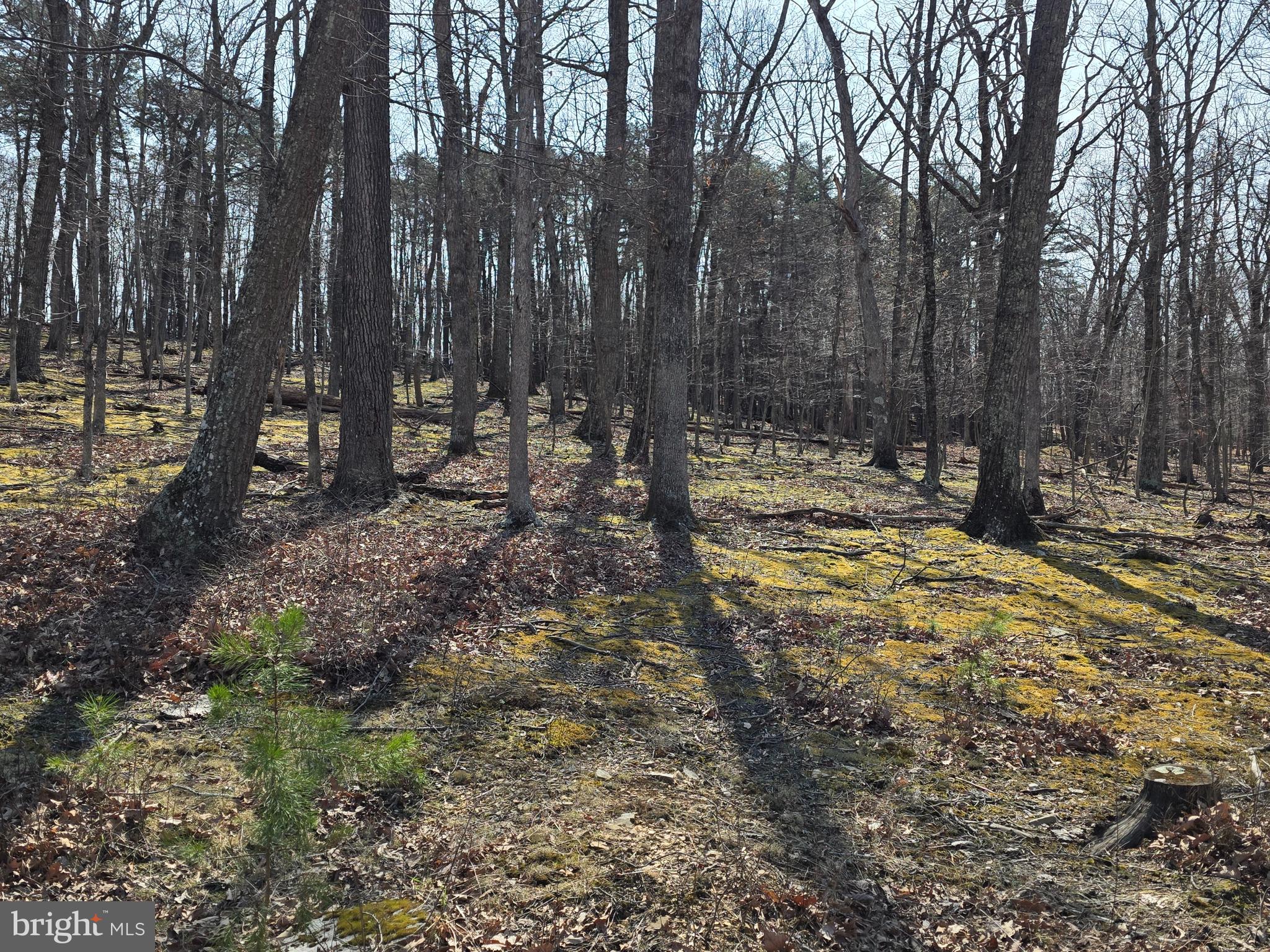 HOLLY BUSH ESTATES - Land