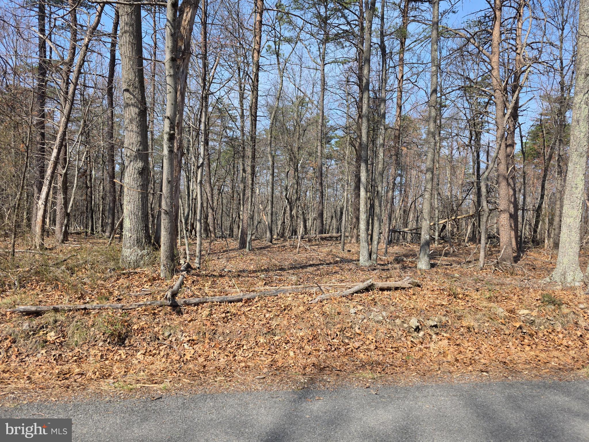 HOLLY BUSH ESTATES - Land