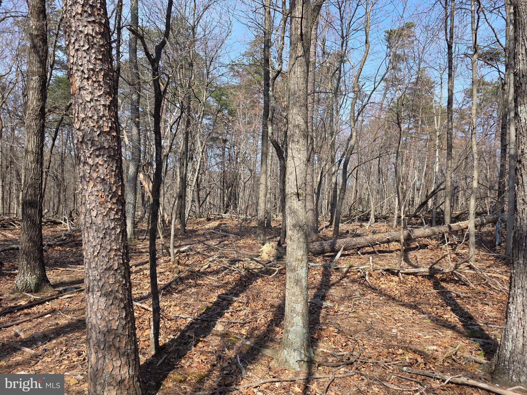 HOLLY BUSH ESTATES - Land