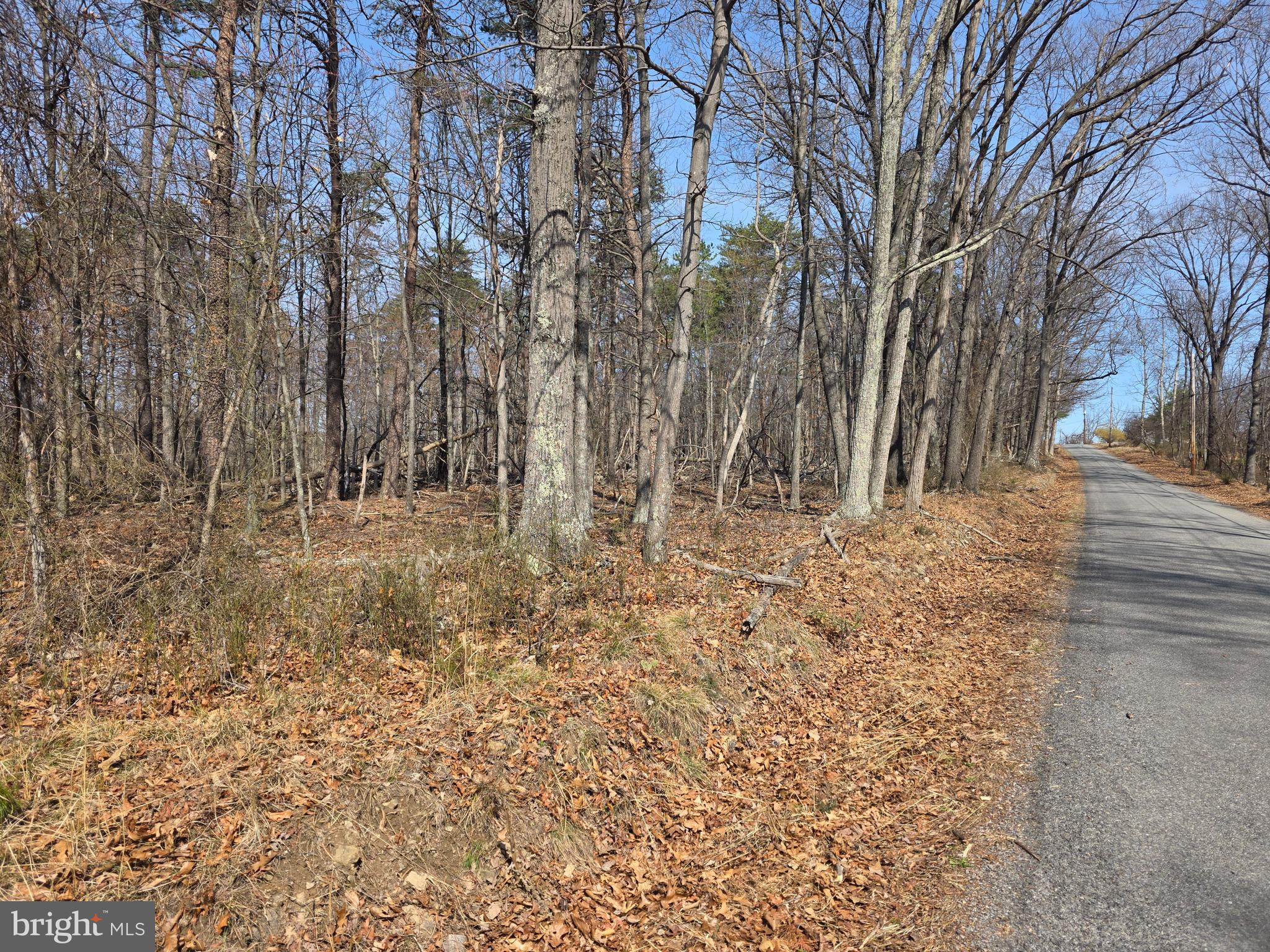 HOLLY BUSH ESTATES - Land