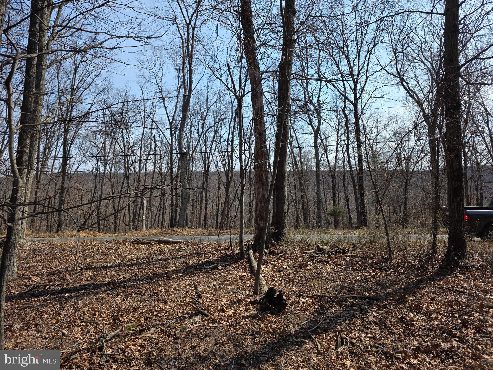 HOLLY BUSH ESTATES - Land