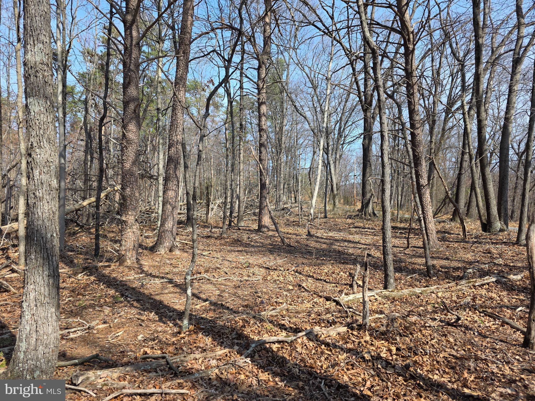 HOLLY BUSH ESTATES - Land