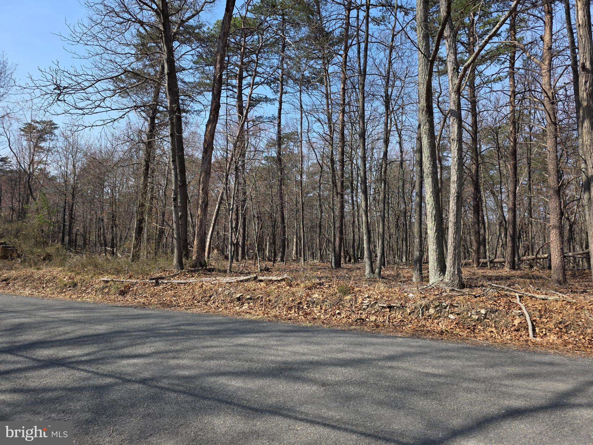 HOLLY BUSH ESTATES - Land