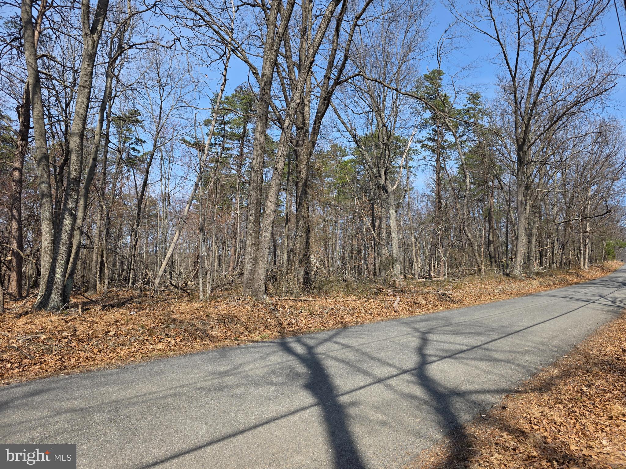 HOLLY BUSH ESTATES - Land