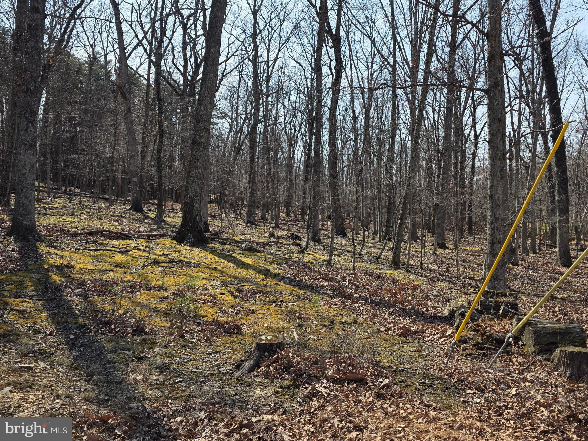 HOLLY BUSH ESTATES - Land