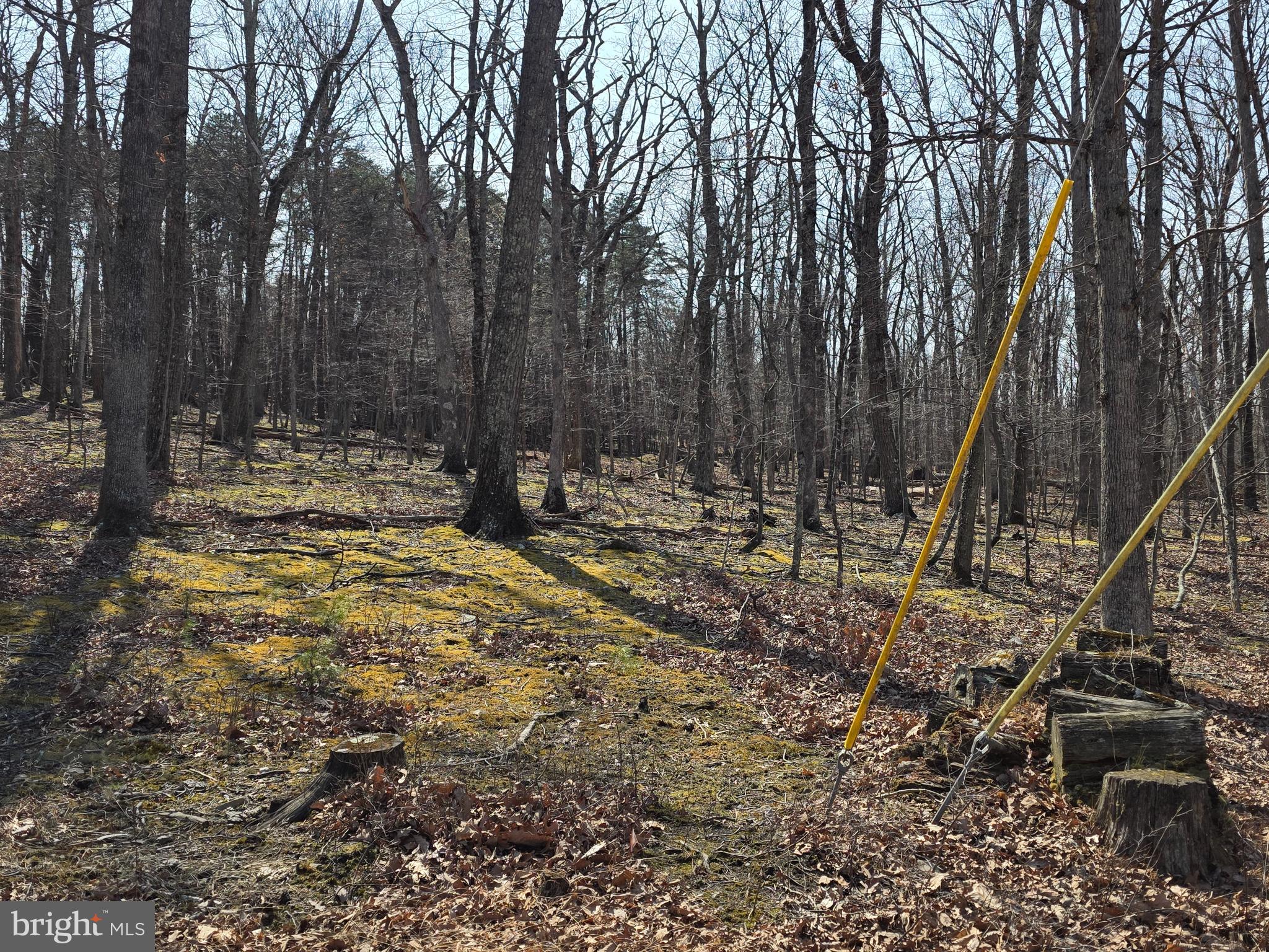 HOLLY BUSH ESTATES - Land