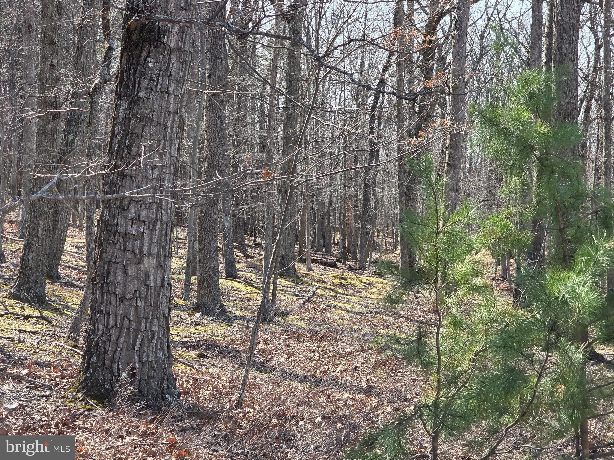 HOLLY BUSH ESTATES - Land