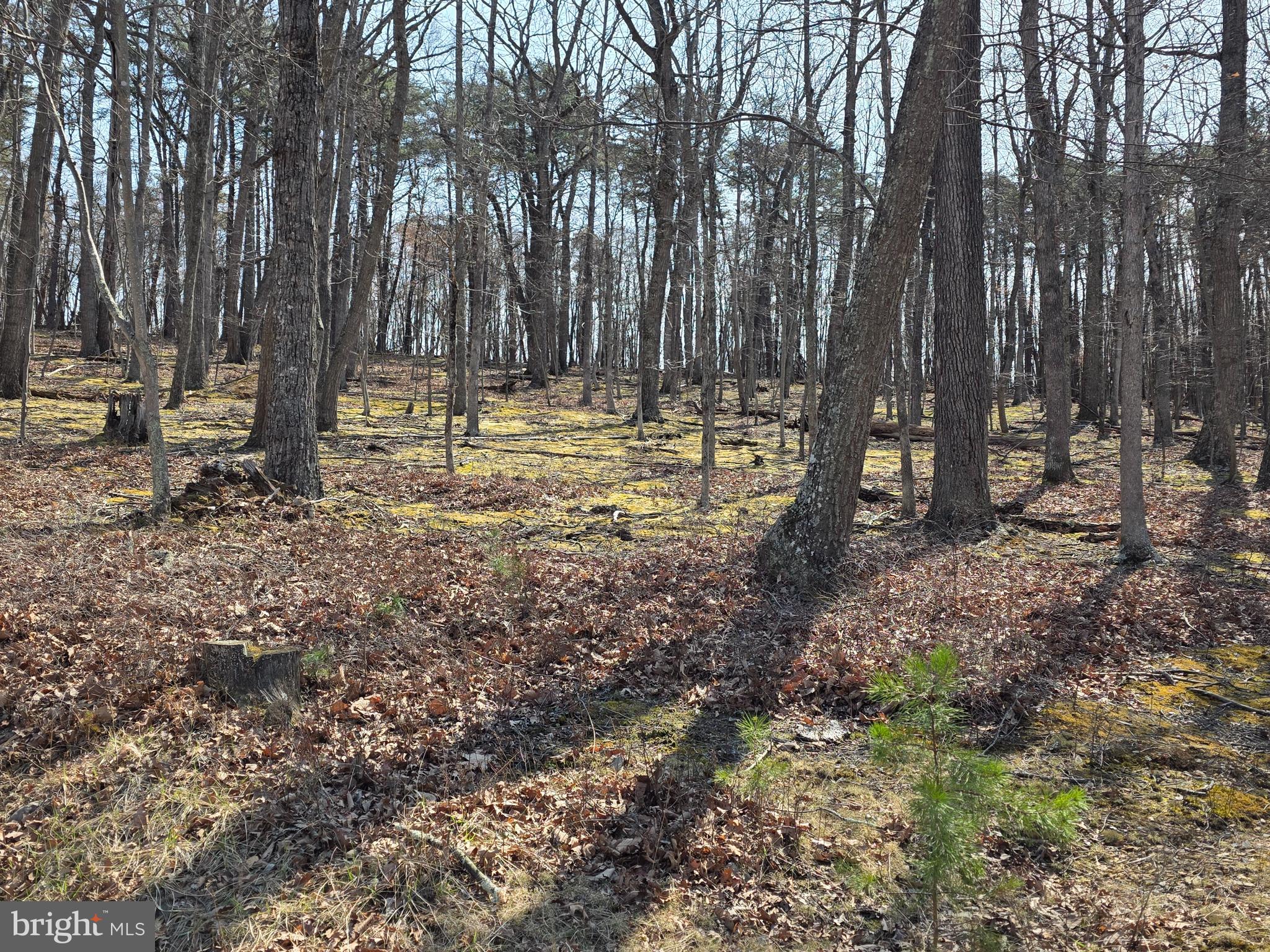 HOLLY BUSH ESTATES - Land