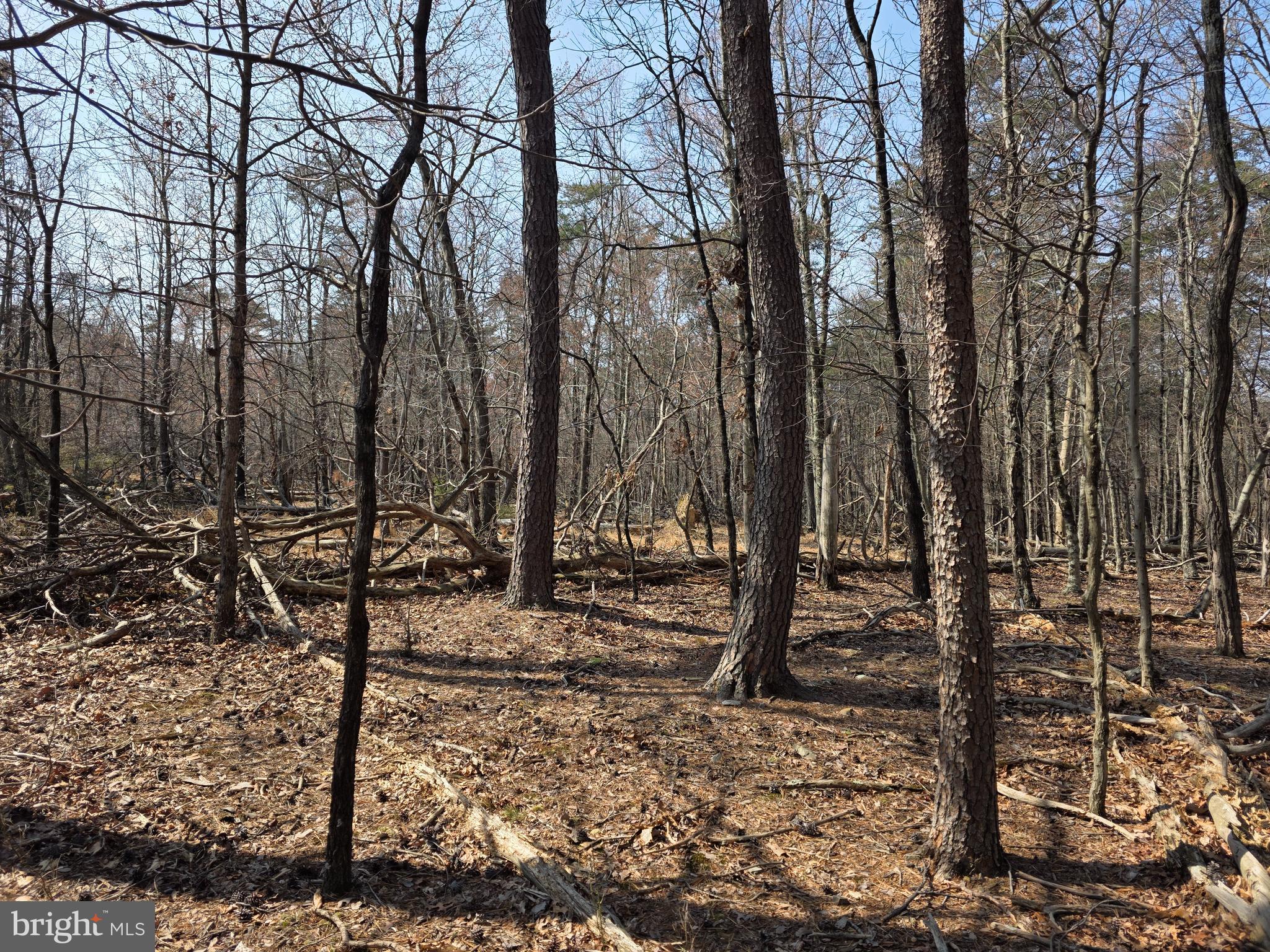 HOLLY BUSH ESTATES - Land