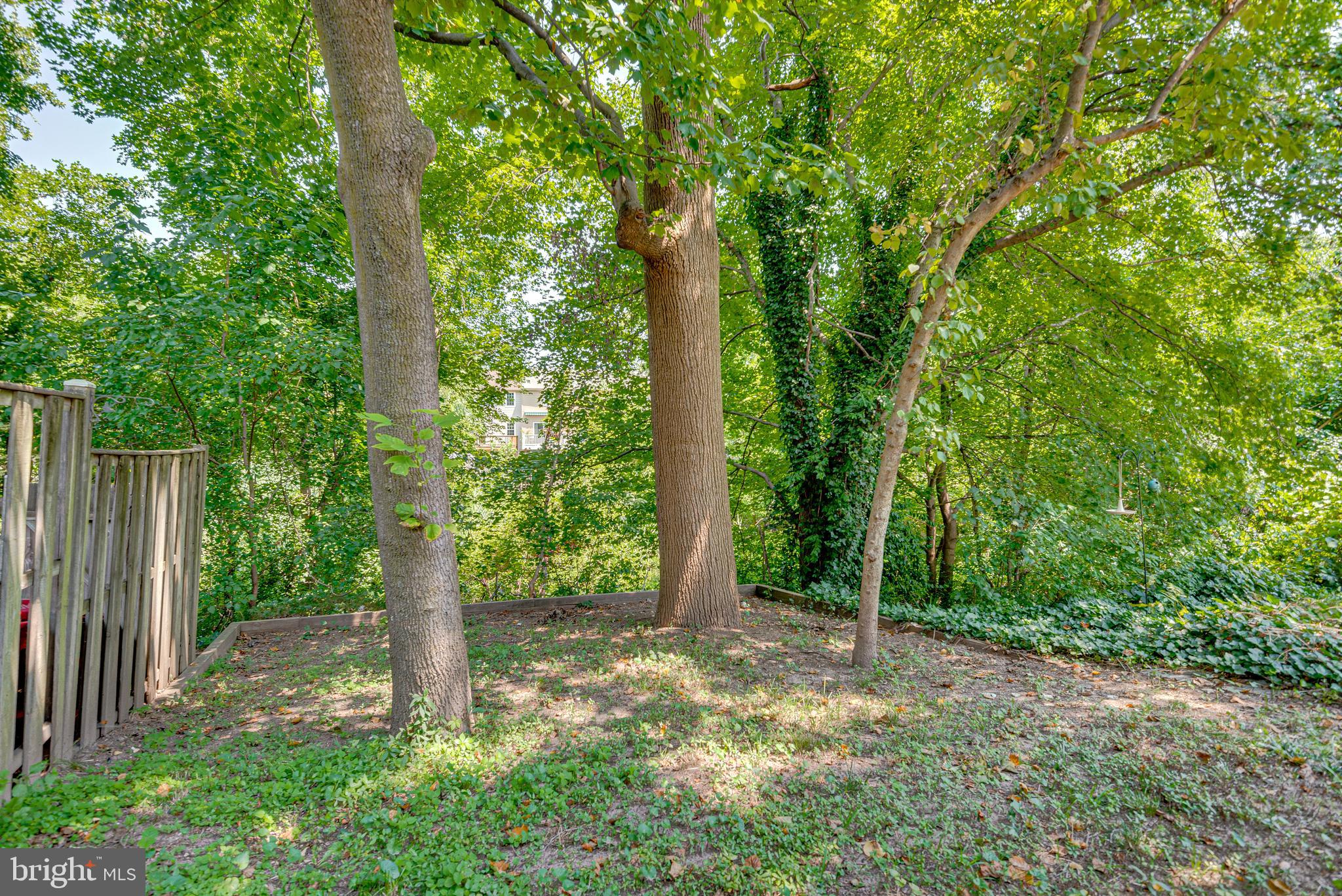 ELIZABETHS LANDING - Residential