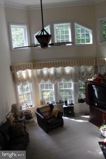 FALCON RIDGE - Residential